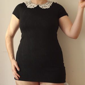 Lace Collar Dress